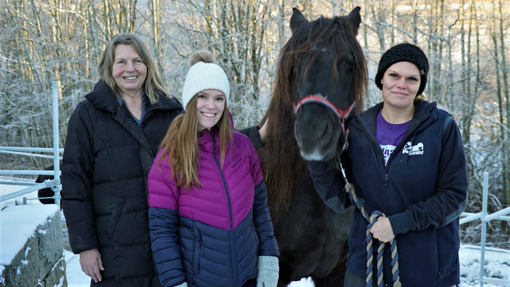 Lene Kragh (daglig leder), Mari Morken (leder for BU Alna), hesten Granat, Karoline Christensen (medarbeider, Alna ridesenter). Foto: Jarle Eknes
